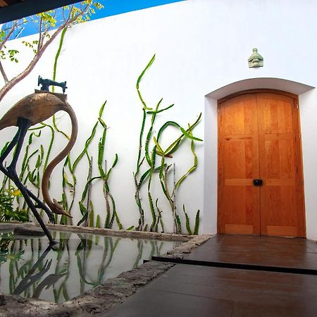 Hotel Casa Carmen Xolotl Oaxaca Exterior foto