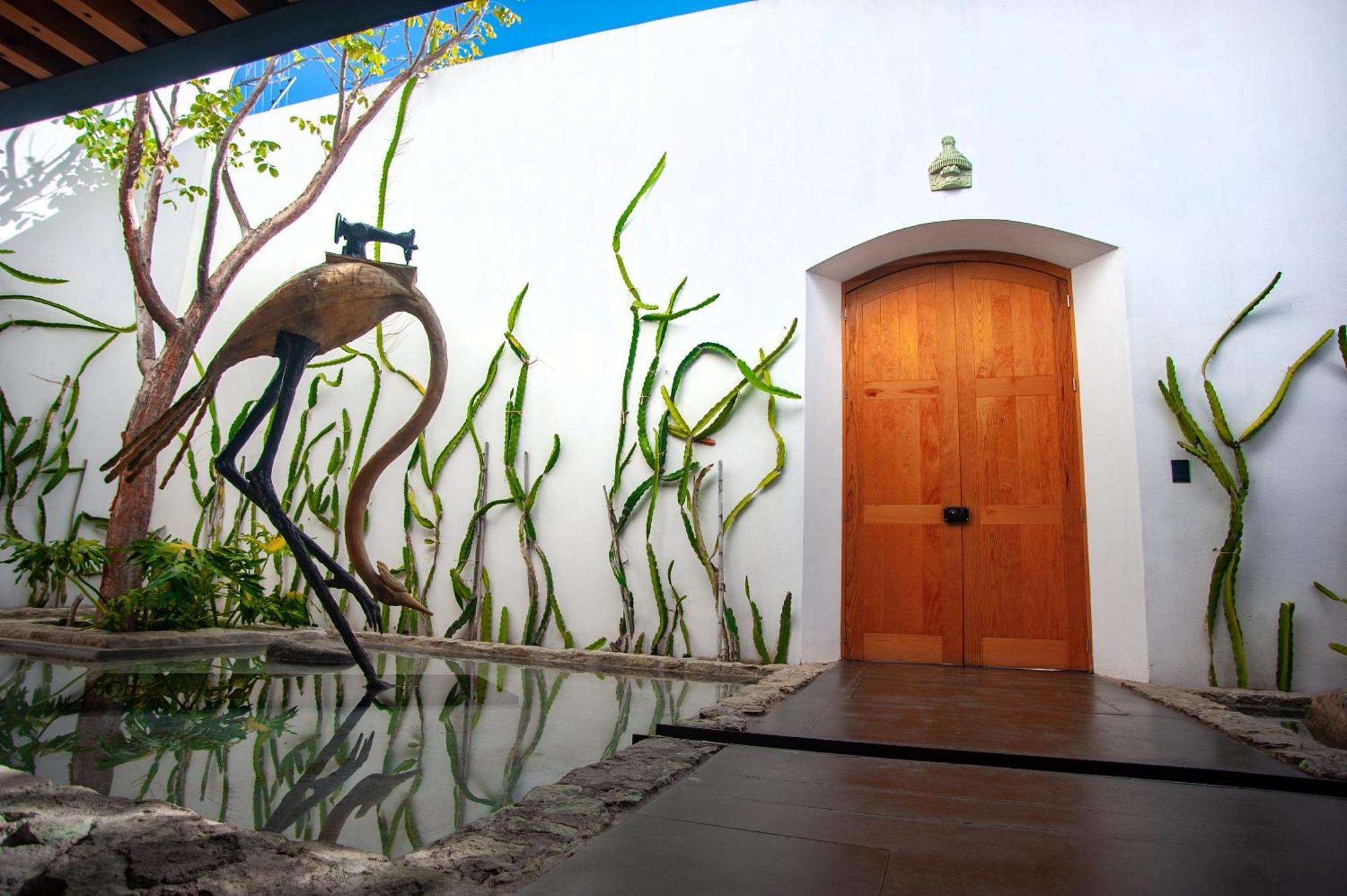 Hotel Casa Carmen Xolotl Oaxaca Exterior foto